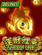 เกมสล็อต Lucky Koi